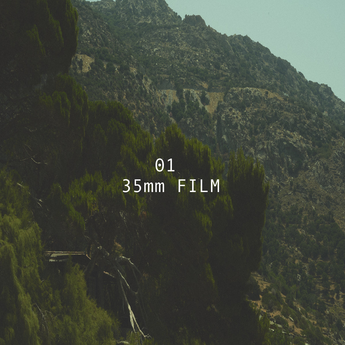 35mm FILM (EMULATOR)