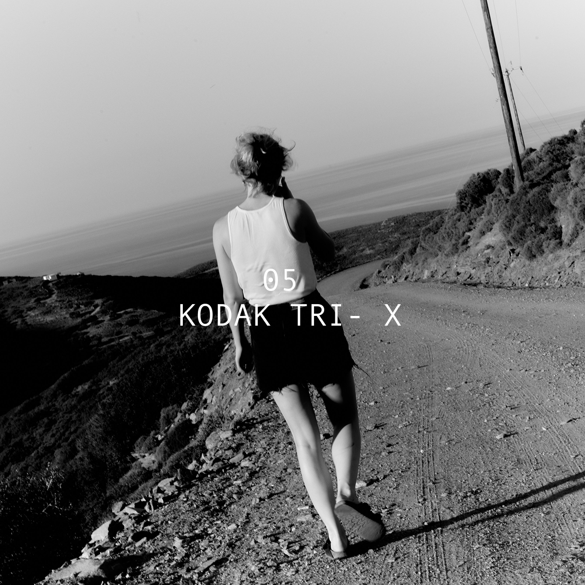 Kodak Tri -X (Film Emulation)